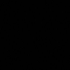 Meet your Posher, Nwt